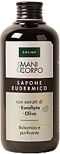 Săpun lichid pentru mâini și corp Solime Eucalyptus And Olive Hand/Body Soap