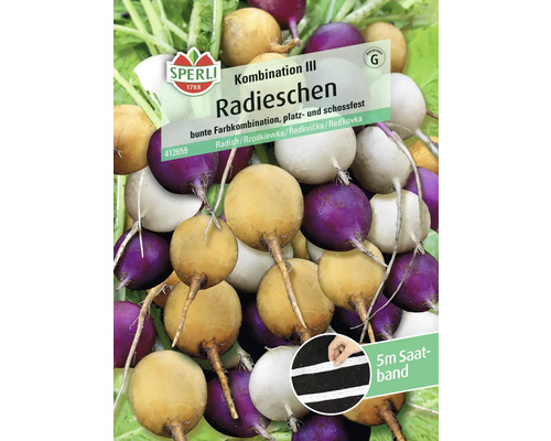 Radieschensamen & Rettichsamen