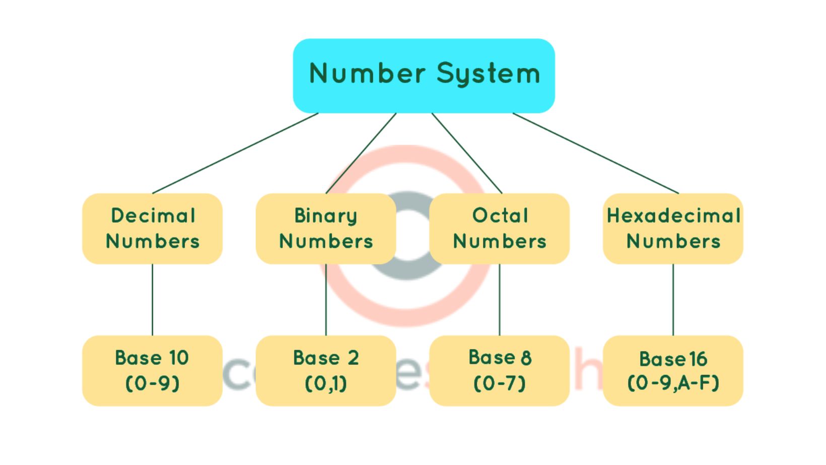 Types of Number System: Definition, Conversion, Equations & Examples ...