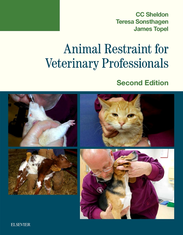 Workbook for Elsevier's Veterinary Assisting Textbook - Edition 3 - By ...