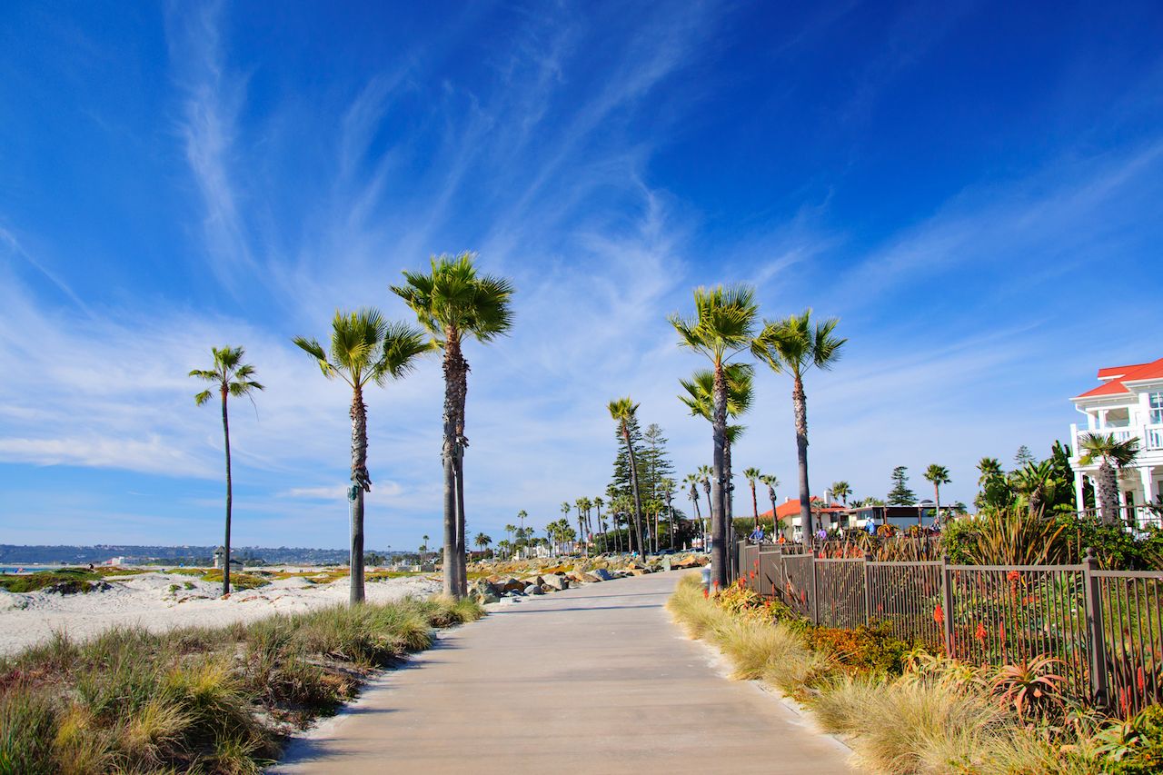 Blue skies and palm trees in San Diego, CA