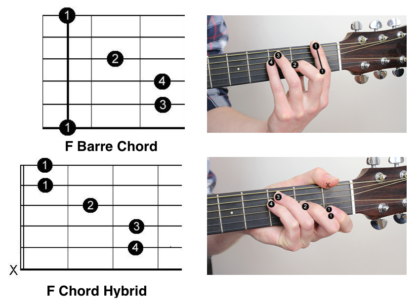 How Do You Play An F Chord On Guitar image.