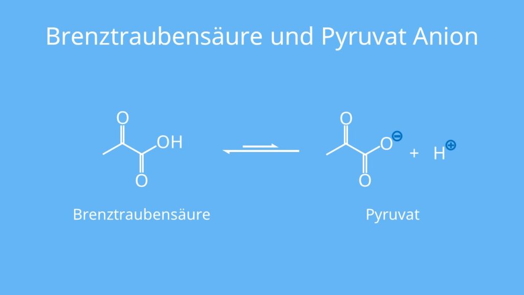 Brenztraubensäure, Pyruvat, Gleichgewicht, Säure, Base, Anion