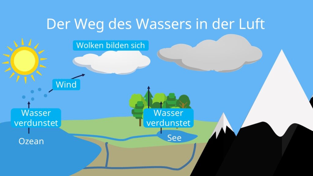 bild wasserkreislauf, bilder wasserkreislauf, der kreislauf des wassers, der natürliche wasserkreislauf, der wasserkreislauf, der wasserkreislauf grundschule, globaler wasserkreislauf, grundschule wasserkreislauf, kleiner wasserkreislauf, kreislauf des wassers, kreislauf des wassers grundschule, kreislauf wasser, natürlicher wasserkreislauf, was ist ein wasserkreislauf, wasser in der atmosphäre, wasser kreislauf, wasserhaushalt der erde, wasserkreislauf beschreibung, wasserkreislauf bilder, wasserkreislauf chemie, wasserkreislauf definition, wasserkreislauf der erde, wasserkreislauf einfach, wasserkreislauf einfach erklärt, wasserkreislauf erklärung, wasserkreislauf für kinder, wasserkreislauf in der natur, wasserkreislauf in der natur beschreibung, wasserkreislauf kinder, wasserkreislauf kindergarten, wie funktioniert der wasserkreislauf