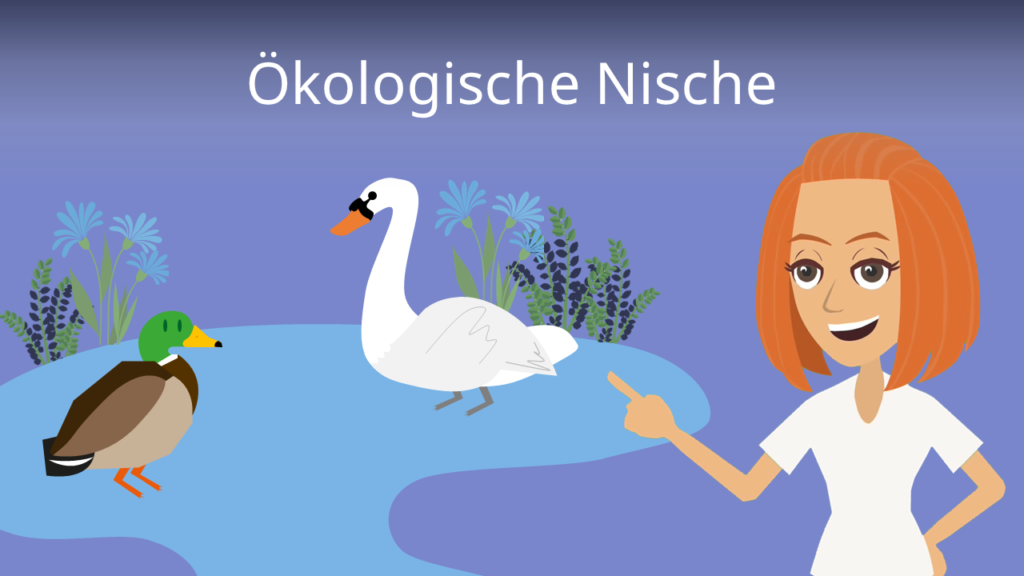 Zum Video: ökologische Nische