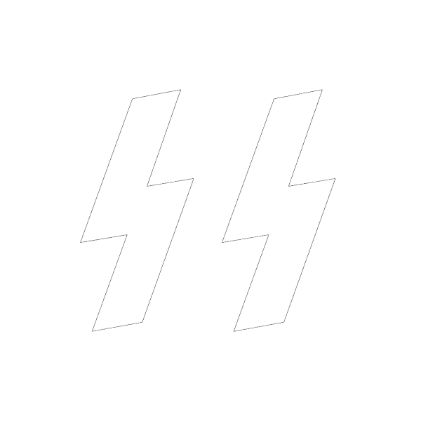 Flag Schutzstaffel PNG Clip art