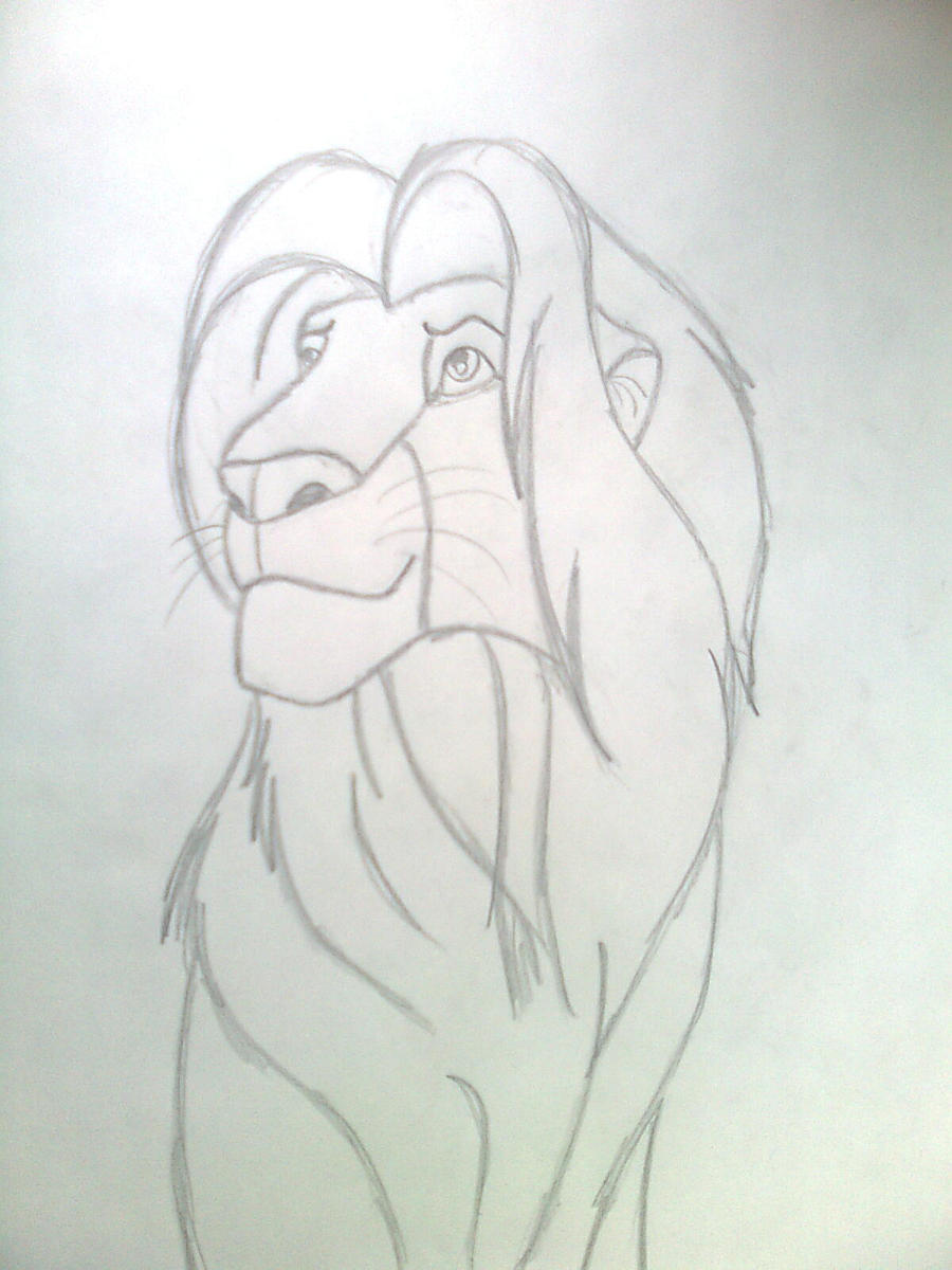 Simba lion by Surfersgirl on DeviantArt