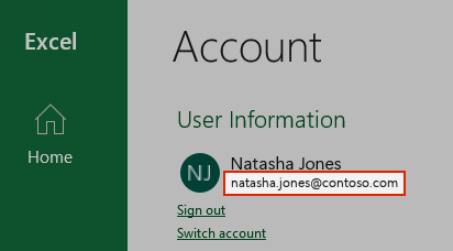 A screenshot showing a user account in Excel.