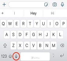 ios-voice-typing-icon