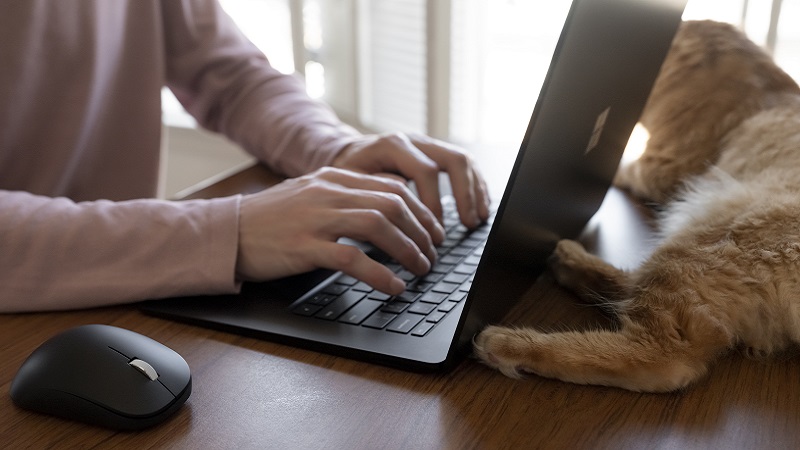 Mouse ergonómico con Bluetooth de Microsoft