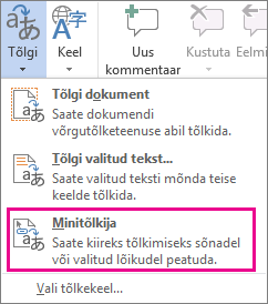 Minitõlkija.