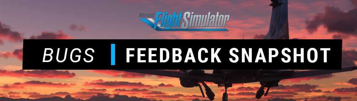 Feedback Snapshot - Top Bugs