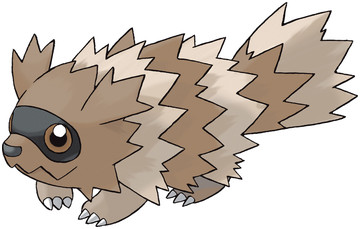 Zigzagoon artwork by Ken Sugimori