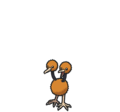 Doduo