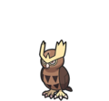 Noctowl