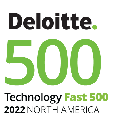 Deloitte 500