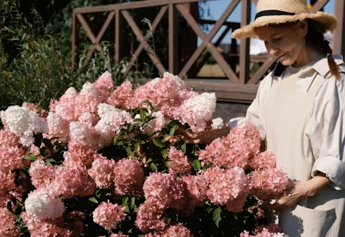 Ältere Frau betreibt Gartenarbeit in der Nähe ihres Hauses, schaut und kümmert sich um die Blumen.