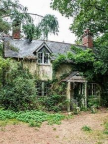 Abandoned Cottage In Verwood