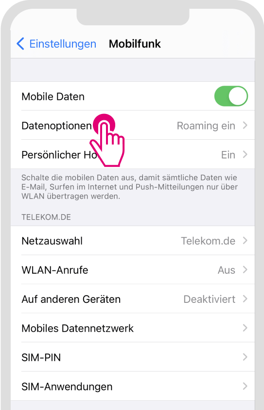 Datenroaming für iOS aktivieren - Schritt 2