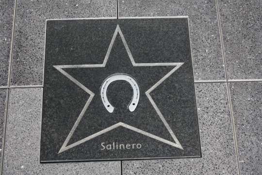 Salinero