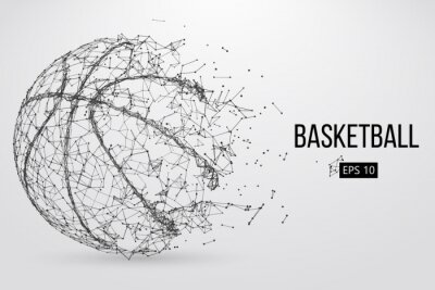 Bild Baskettball im modernen Stil