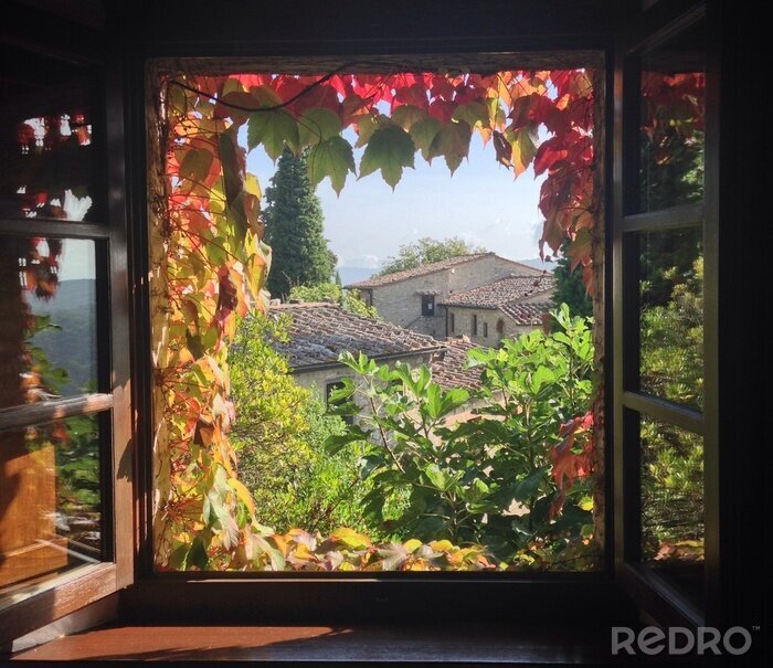 Bild Fenster zum Weinberg geöffnet