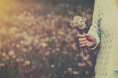 Bild Frau mit Pusteblumen in der Hand