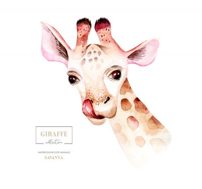 Bild Giraffe Kopf Aquarell