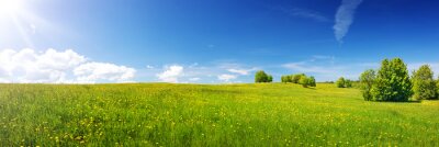 Gras in idyllischer Landschaft