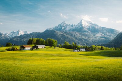 Bild Idyllische alpine Landschaft im Sommer