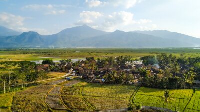 Bild Indonesische Wiese im Sommer