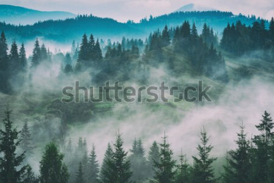 Bild Landschaft Berge mit Bäumen