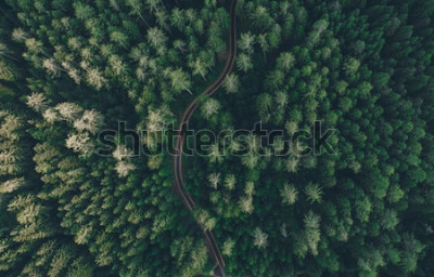 Bild Landschaft mit Wald aus Vogelperspektive