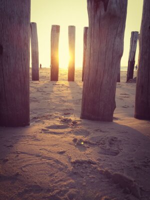 Bild Natur am Meer