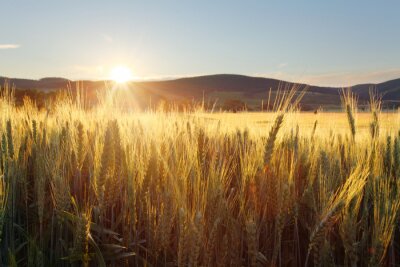 Natur Sonnenuntergang