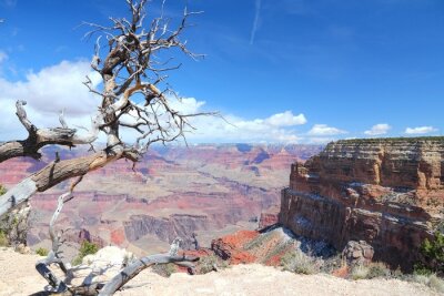 Bild Nordamerika und Grand Canyon