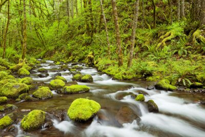 Bild Schlucht des Flusses Kolumbien