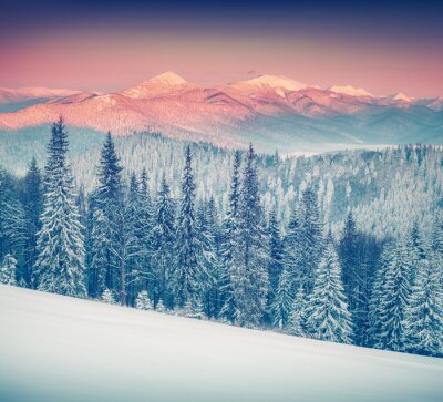 Bild Schneebedeckte Berge