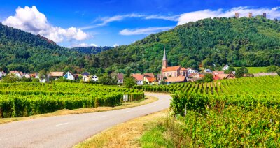 Bild Sommer im Elsass