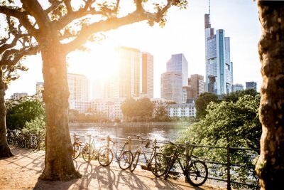 Bild Sommer in der Stadt Frankfurt