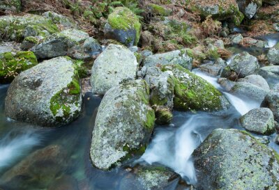 Bild Steiniger Fluss