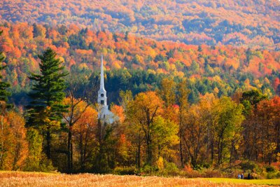 Bild Vereinigte Staaten und herbstlicher Wald