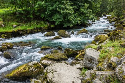 Bild Waldfluss in Norwegen