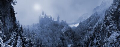 Bild Winter und Blick aufs Schloss