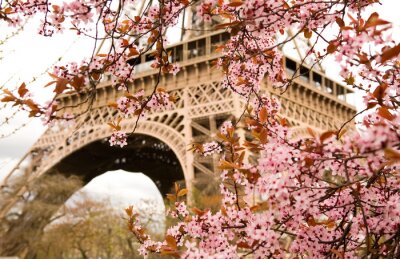 Fototapete Architektur inmitten von Frühlingsblumen