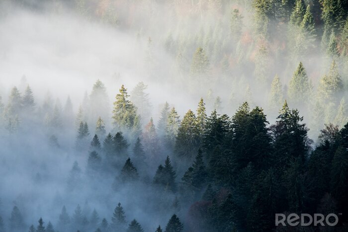 Fototapete autumn in the mountains