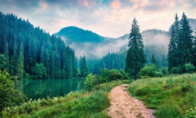 Fototapete Berge Wald und See