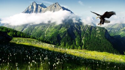 Fototapete Berglandschaft mit Adler