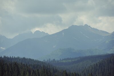 Fototapete Bergwald in der ferne