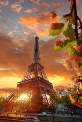 Frühlingsmorgen in Paris